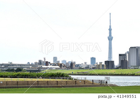 荒川河川敷からの東京スカイツリー 北千住方面の写真素材