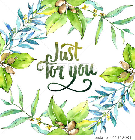 Green elaeagnus leaves. Leaf plant botanical garden floral foliage. Frame border ornament square. 41352031