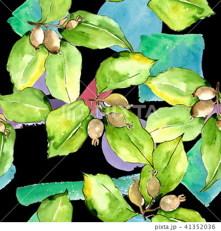 Green elaeagnus leaves. Leaf plant botanical garden floral foliage. Seamless background pattern. Green elaeagnus leaves. Leaf plant botanical garden floral foliage. Seamless background pattern. 41352036