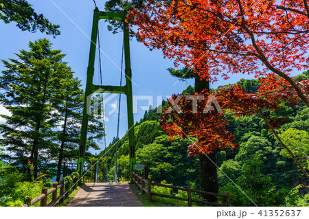 (静岡県)奥大井川にかかる、両国吊橋 (静岡県)奥大井川にかかる、両国吊橋 41352637