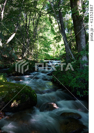 神秘的な清流 安曇野 神秘的な清流 安曇野 41352887
