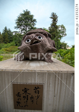 茂林寺 たぬき 群馬県館林市 茂林寺 たぬき 群馬県館林市 41353274