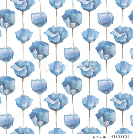 Poppy. Seamless pattern with Flowers 41353352