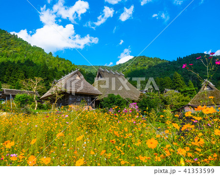 美山かやぶきの里 41353599