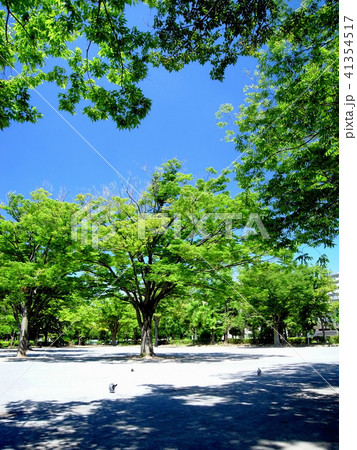 夏の公園 41354517