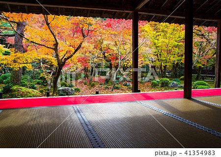 京都 圓光寺 紅葉の十牛之庭の写真素材 41354983 Pixta