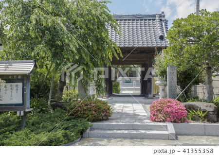 泉光院（鎌倉市上町屋） 41355358