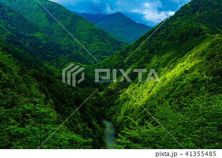 静岡県 秘境 関の沢橋梁 せきのさわきょうりょう の写真素材 静岡県 秘境 関の沢橋梁 せきのさわきょうりょう の写真素材