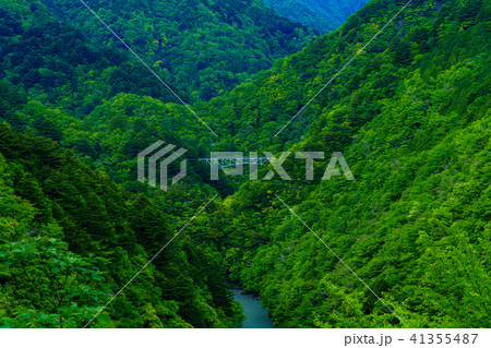 （静岡県）秘境　関の沢橋梁（せきのさわきょうりょう） 41355487