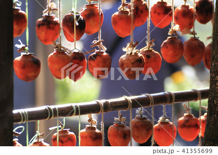 干し柿 41355699