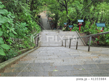 高尾山男坂-17950 41355984
