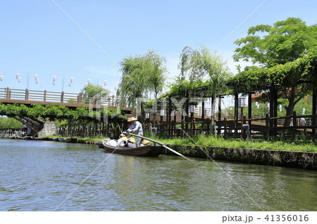 水郷潮来あやめ園　茨城県潮来市 41356016