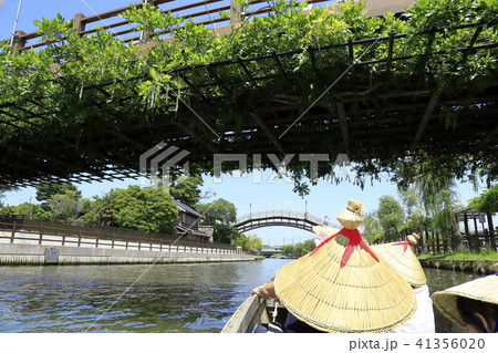 水郷潮来あやめ園　茨城県潮来市 41356020