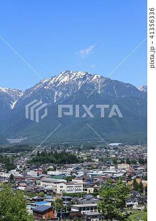 初夏の北アルプス山麓 長野県大町市 初夏の北アルプス山麓 長野県大町市 41356336