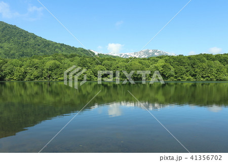 新潟県　糸魚川市　白池からの白馬連山 41356702