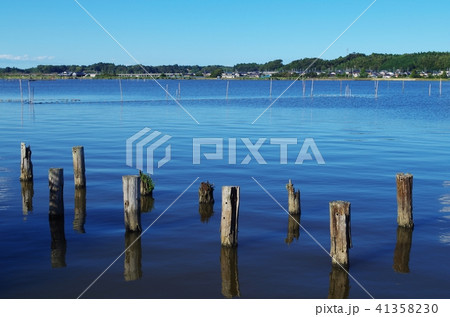 湖と木の杭 41358230