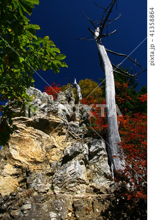 秋の両神山　紅葉の山頂 41358864