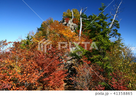秋の両神山　紅葉の山頂 41358865