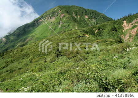 苗場山 山頂への道 苗場山 山頂への道 41358966