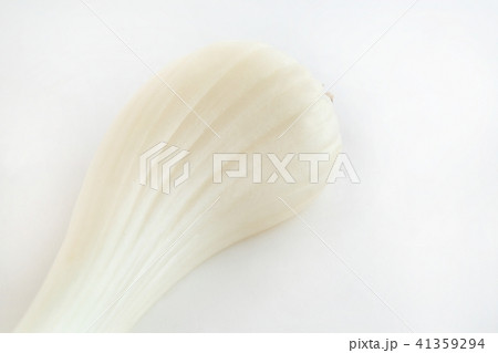 エシャレット 41359294