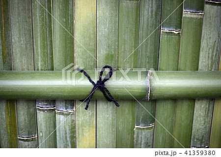 竹垣-17 竹垣-17 41359380