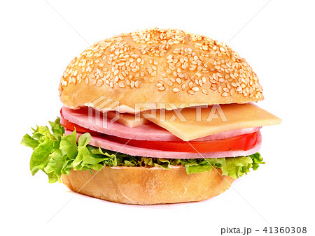 Small fresh hamburger Small fresh hamburger 41360308