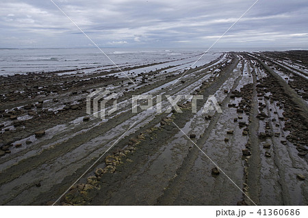 日南海岸国定公園の一部をなす青島の写真素材