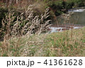 日本 ジャパン 日本国 41361628