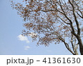 青色 青 青い 41361630