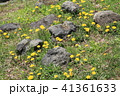 黄色 イエロー 黄色い 41361633