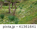 黄色 イエロー 黄色い 41361641
