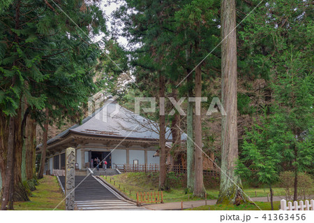 中尊寺 金色堂覆堂 中尊寺 金色堂覆堂 41363456