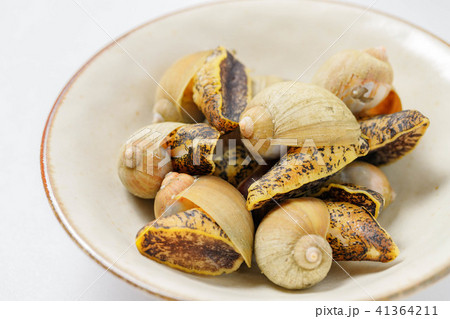 煮ツブ貝 煮ツブ貝 41364211