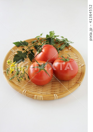 トマト 41364552
