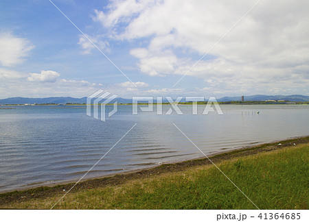 浜名湖湖岸/静岡県浜松市西区舞阪町弁天島 41364685