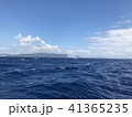 海 41365235