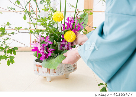 生け花をする着物姿の女性 41365477