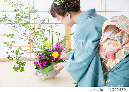 生け花をする着物姿の女性 生け花をする着物姿の女性 41365479