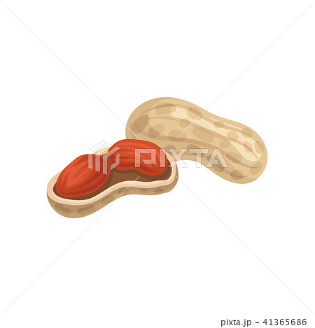 Flat vector icon of whole and peeled peanuts. Natural and tasty food. Organic product. Graphic Flat vector icon of whole and peeled peanuts. Natural and tasty food. Organic product. Graphic 41365686