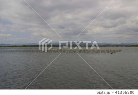 浜名湖湖面/静岡県浜松市西区舞阪町弁天島 41366580