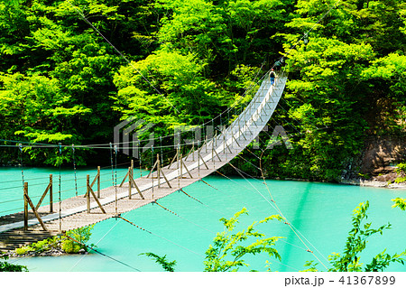 【静岡県】新緑の寸又峡　夢の吊り橋 41367899