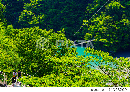 【静岡県】新緑の寸又峡　夢の吊り橋 41368209