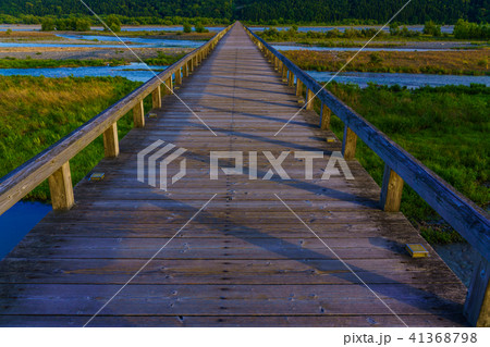 (静岡県)島田市の蓬莱橋 (静岡県)島田市の蓬莱橋 41368798