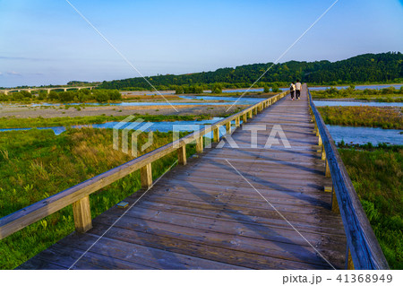 （静岡県）島田市の蓬莱橋を渡る二人 41368949