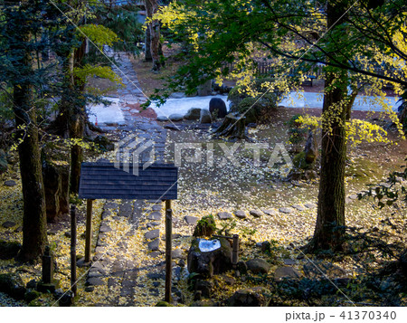 【伊豆】秋の修禅寺奥の院【紅葉・イチョウ】 【伊豆】秋の修禅寺奥の院【紅葉・イチョウ】 41370340