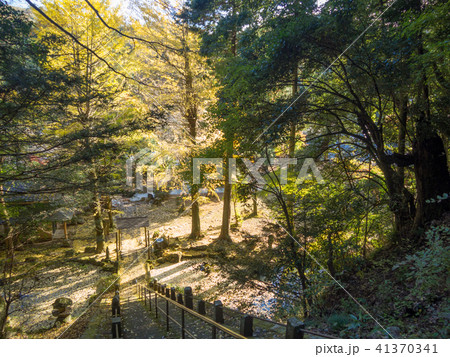 【伊豆】秋の修禅寺奥の院【紅葉・イチョウ】 【伊豆】秋の修禅寺奥の院【紅葉・イチョウ】 41370341