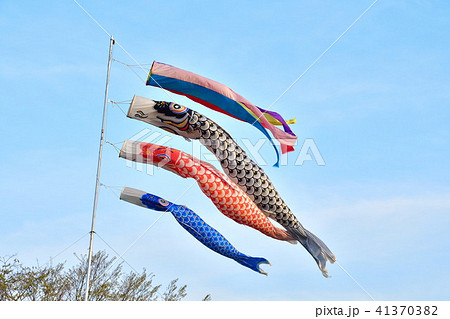こいのぼりイメージ（新潟県） 41370382