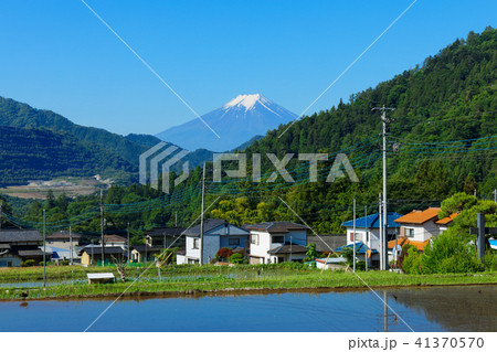 大月町真木の田んぼと富士山 41370570