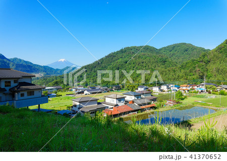 大月町真木の田んぼと富士山 41370652
