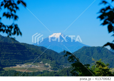 真木お伊勢山より早朝の富士山を望む 41370682
